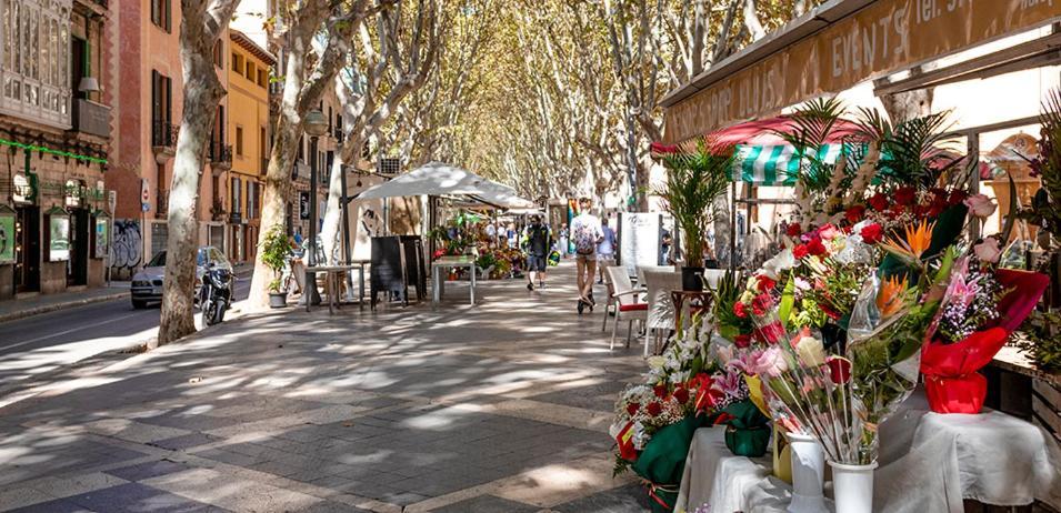 Rambla Palma Center Hotel Kültér fotó