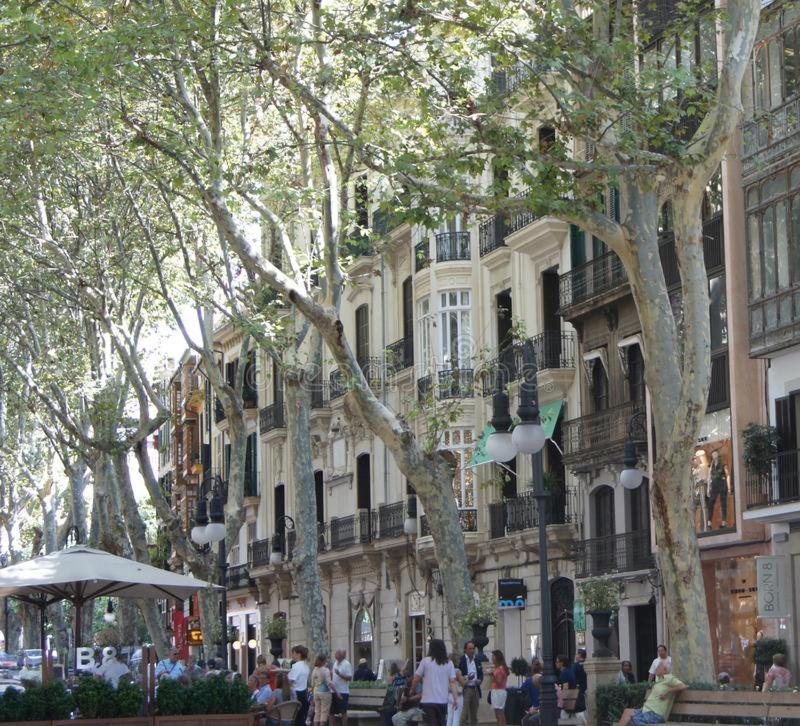 Rambla Palma Center Hotel Kültér fotó